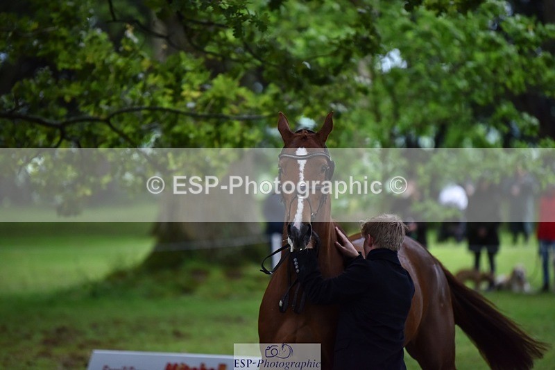 240522-163908-01062 - 265-GREANNANSTOWN_MONBEG_JOE-Finn_Healy