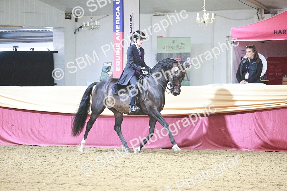 SBM_03367 - Class 6A Area Ridden Pre-Vet