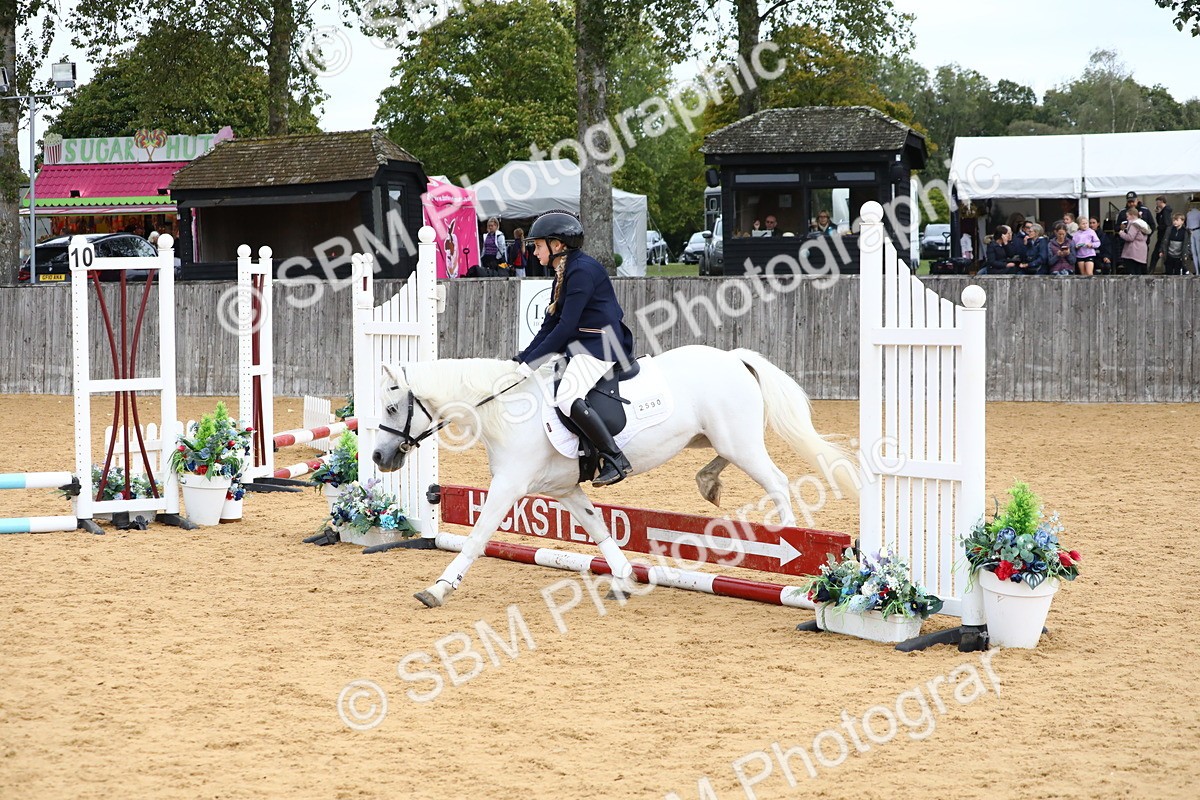 SBM_68111 - J3b - Mini Tour Junior Pony 40cm Championship