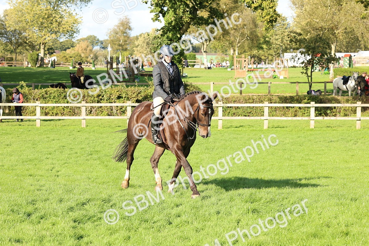 SBM_50155 - S34 - Novice & Newcomers Working Hunter
