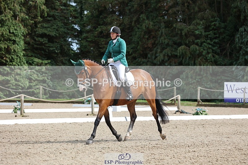 250718A-152753-02568 - 152-Tracy.OKennedy-Wylye.Harlequin