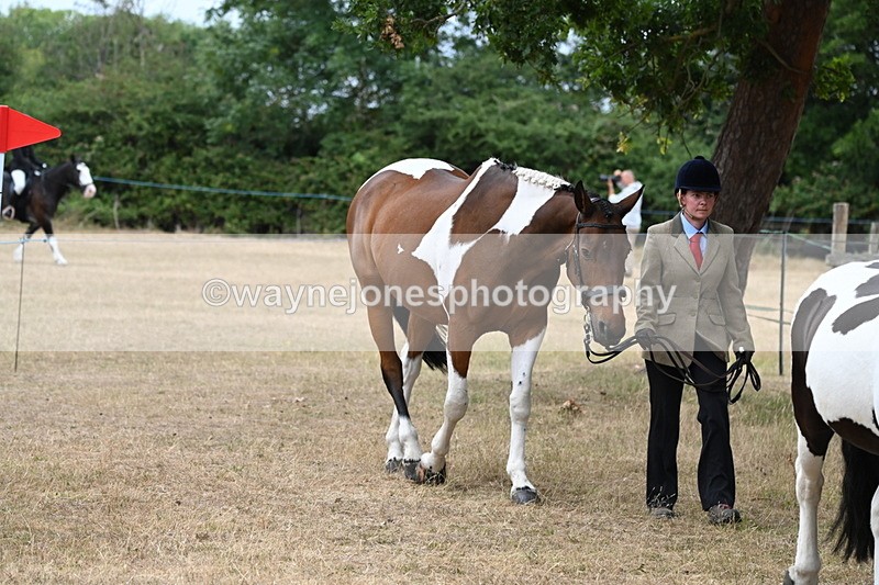 WJ6_7936 - Class 10 Coloured in Hand