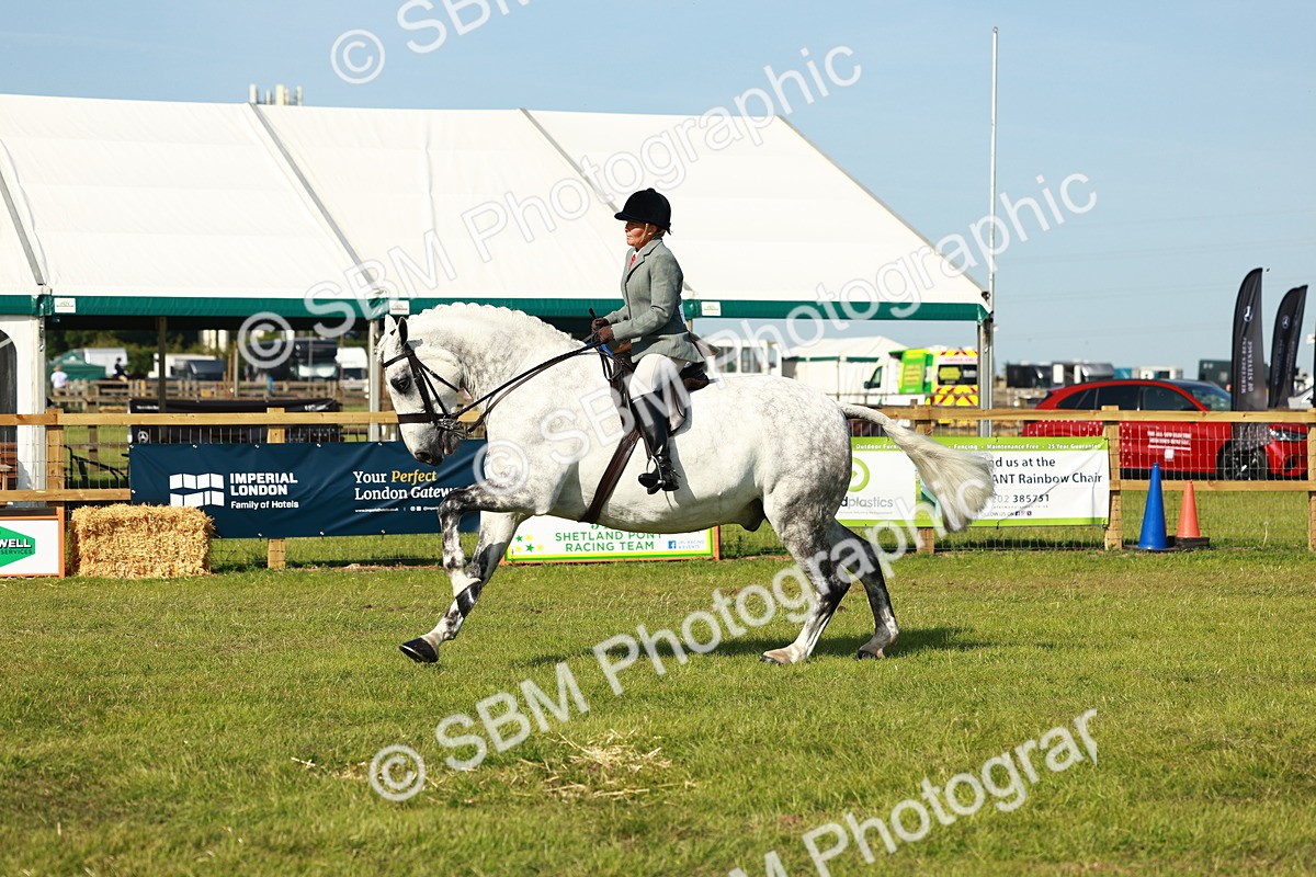 SBM_11790 - Class 66-69 - RIHS Ridden Hunters Inc Small Hunter