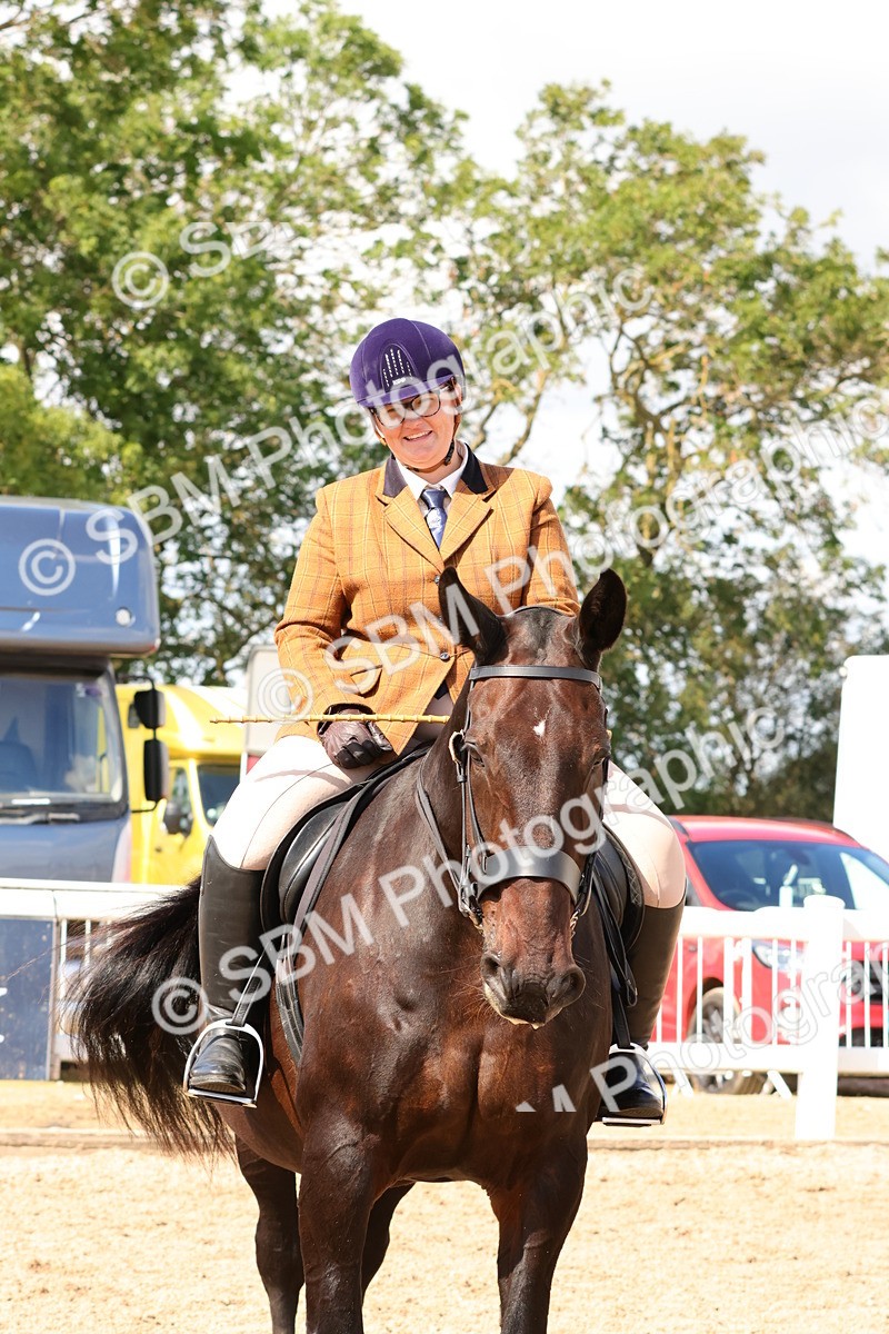 SBM_13527 - Class 212 - Ridden Hunter  - Large