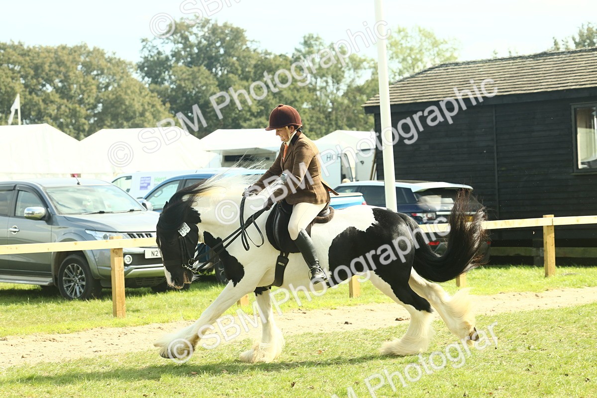 SBM_68796 - S58 - Mini Show Cob Ridden
