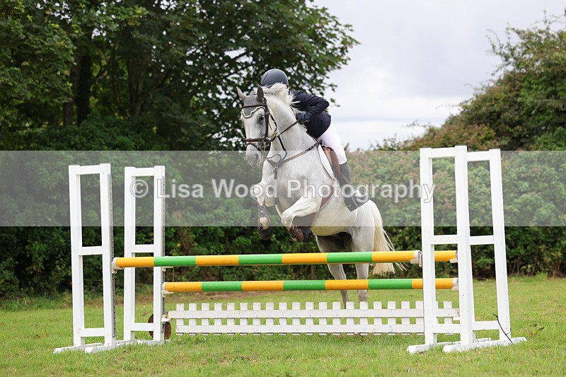 3E7A7049 - Class 5: Senior British Novice/90cm open