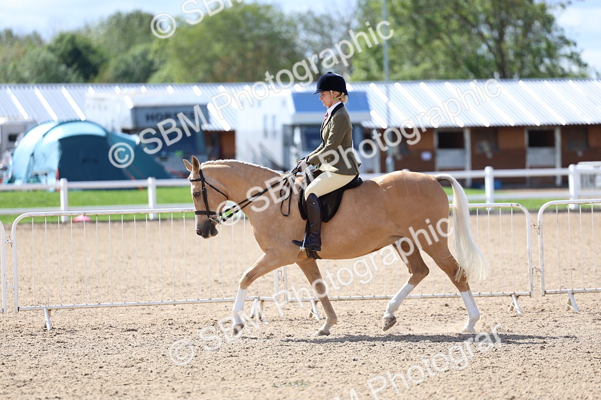SBM_13323 - Class 311 - Ridden Show Pony Show Hunter Pony