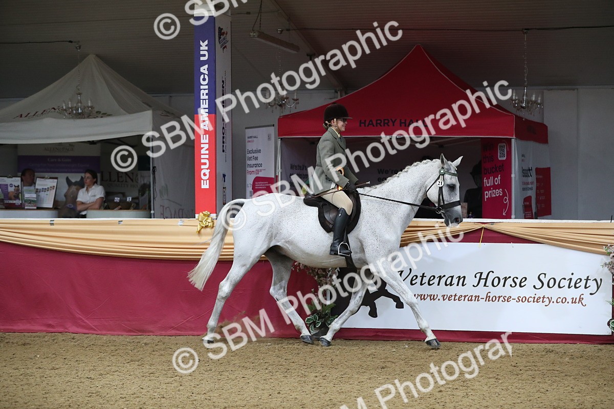 SBM_10477 - Class 102 Equitation (best rider) Adult