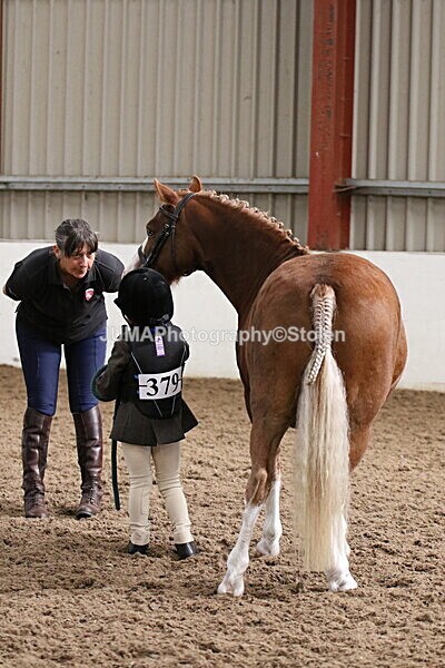 SIAL0520 - Small Arena - Saturday