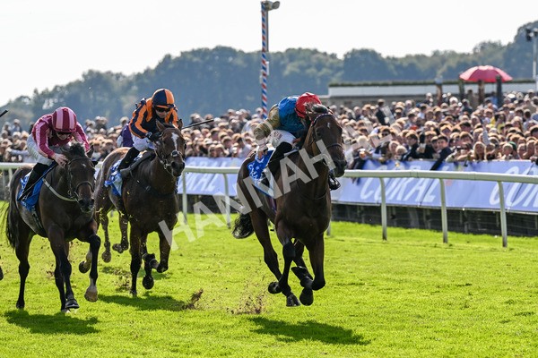 111025-Race 1-Division-0184 - Race 1 Coral Rockingham Stakes at York