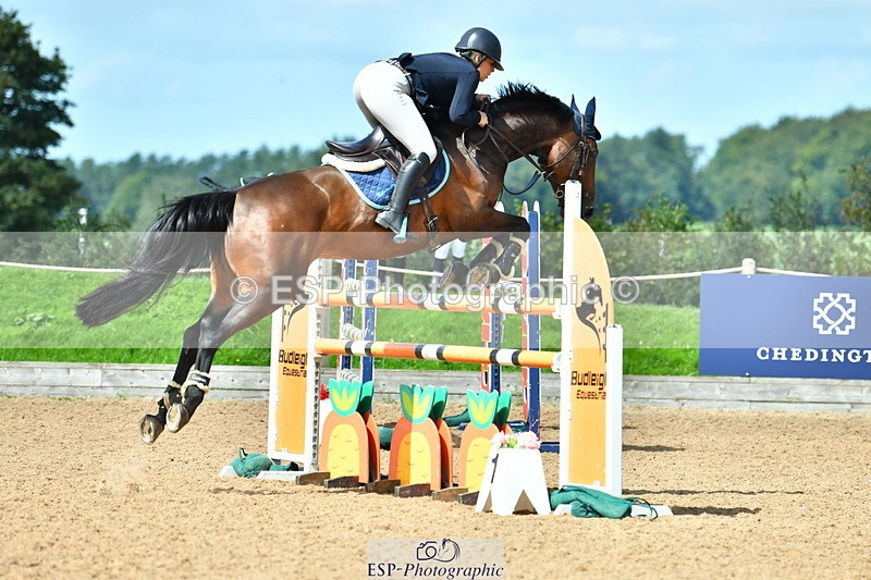 230811A-115700-04043 - Cls 20 Snr Fox