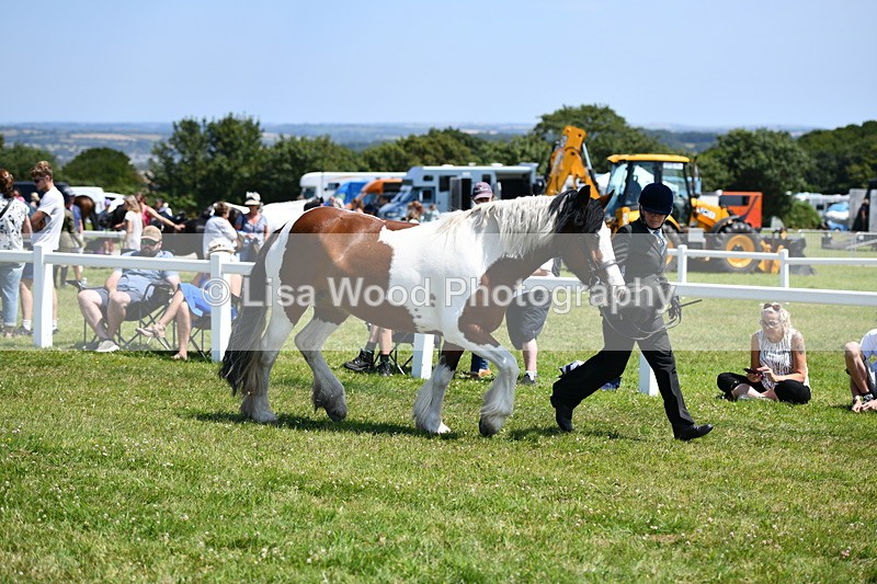 DSC_7565 - Class 64: Coloured Pony 4yrs & over