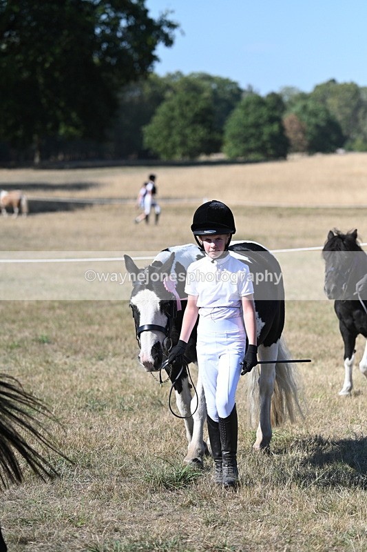 WJ7_2003 - Class 43 Best Six Legs (In hand)