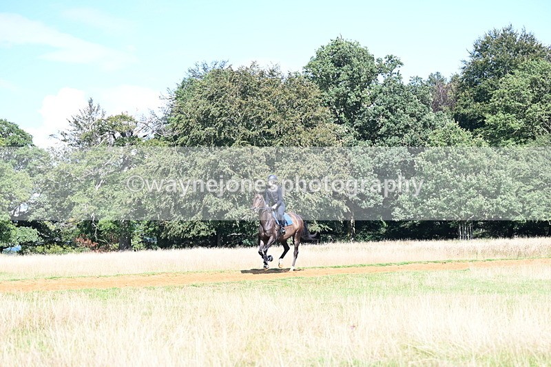 DSC_0087 - Time at Statue 15:58 to 16:05