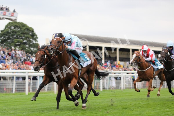 yr18082022r6-35 - Race 6 4.45 pm OR8wellness ebfstallions Nursery Handicap