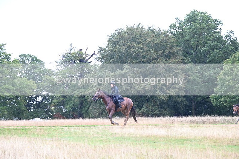 DSC_3324 - Time at Statue 13:51 to 14:55