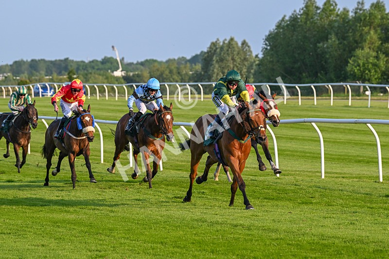 310524-Race 3-Lord Torranaga-8675 - Race 3