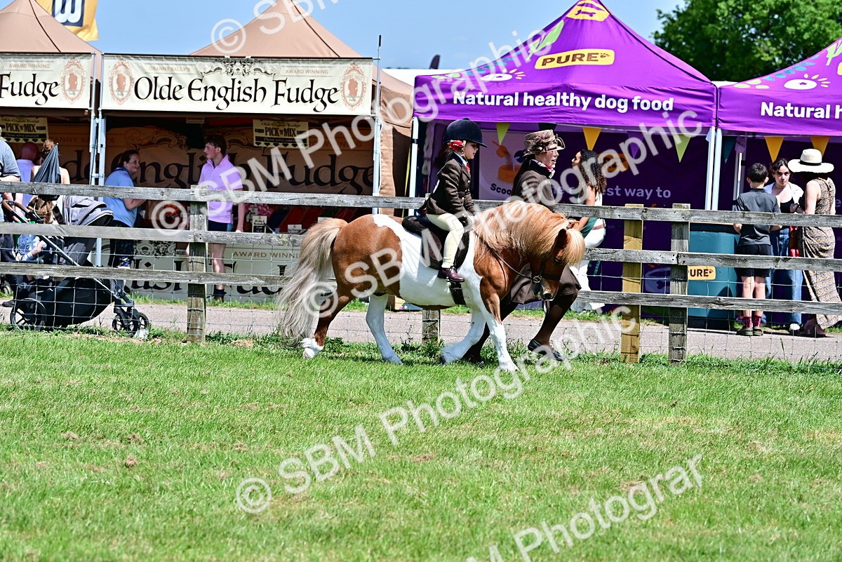 SBM_05811 - Class 59-60 - TSR M&M  Lear Rein and First Ridden Amateur of the year