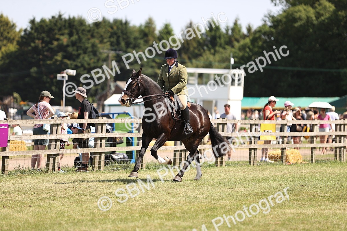 SBM_17869 - Class 81-83 - TSR Ridden Amateur of the Year - Horses