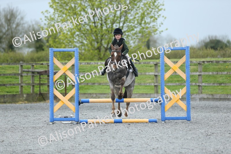 20260412-1856 - Show Jumping