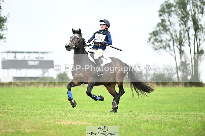 240831A-142900-03729 - 201-Abi.Mobbs-MYSTICAL.ADMIRAL