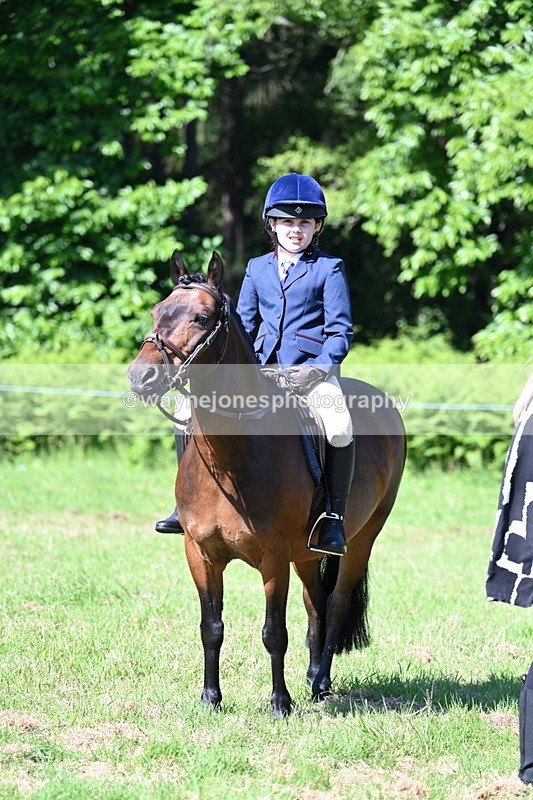 WJ7_0422 - Class 8 First Rally Pony