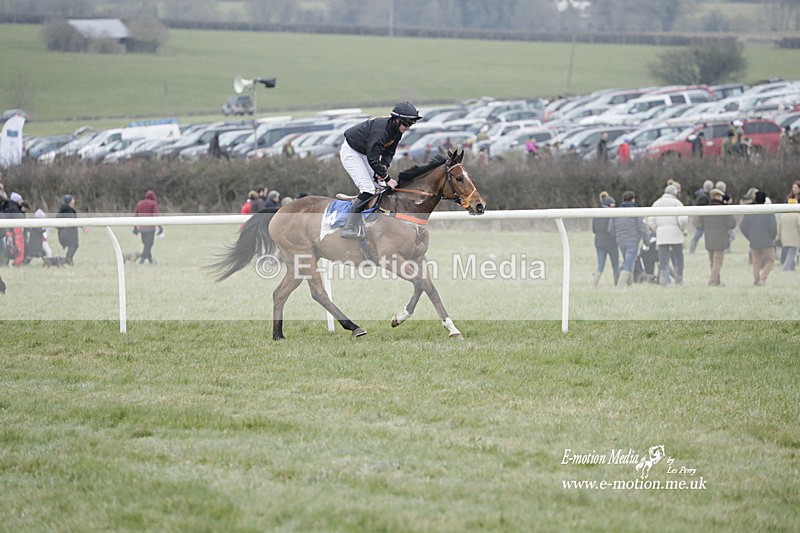PtP 040323 606 - Duke of Beauforts Hunt Point-to-Point Didmarton 04/03/23