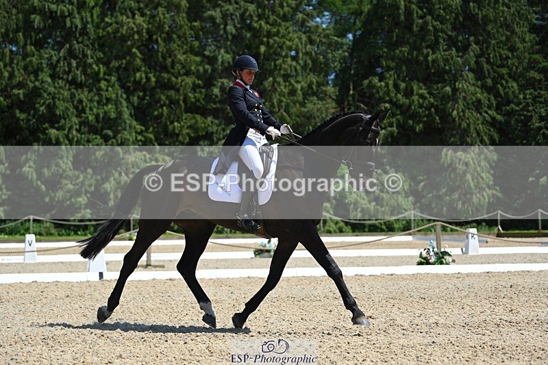 230526-140943-06926 - 482-BROOKFIELD_CAVALIER_CRUISE-Piggy_March-DR