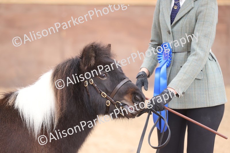 20251109-0418 - Class 15 - Coloureds