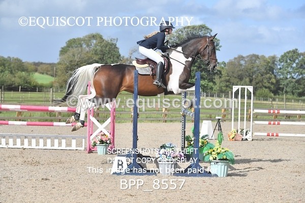 BPP_8557 - CLASS 38 SUN Senior Newcomers/ 1.10m Open