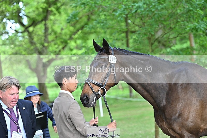 250521A-170138-01478 - C-280-Ryo.Murata-BROOKPARK.VIKENTI