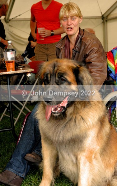 Glamis 2 - Walking the Dog