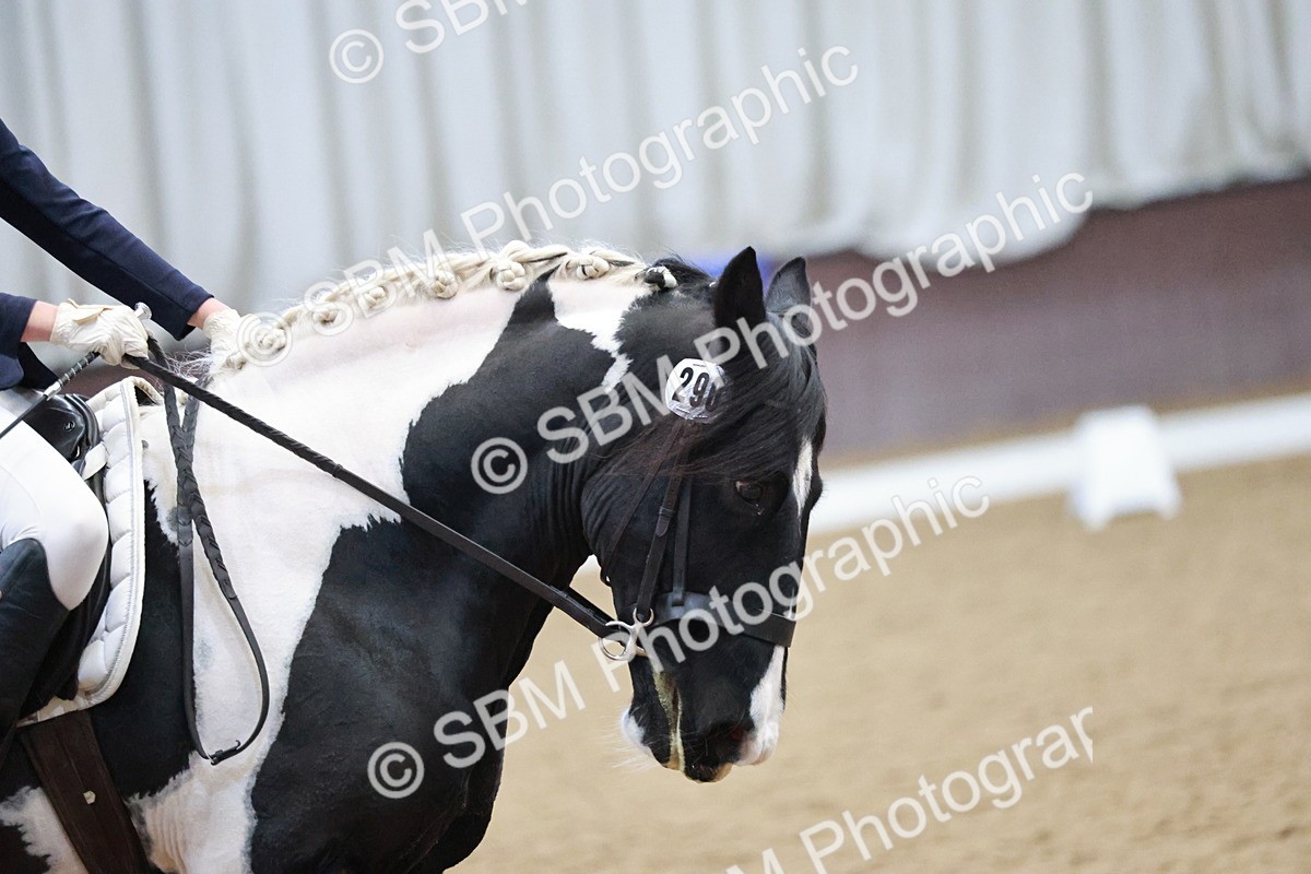 SBM_004574 - Ring 3 - International -  Working Hunter Classes 23-2-25