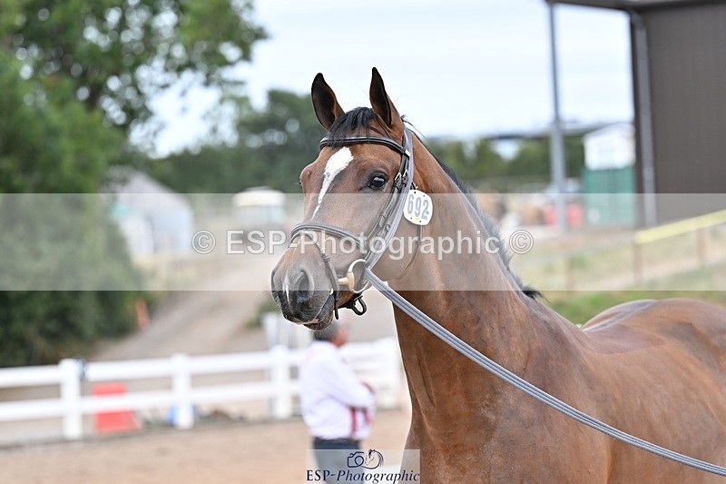 250716-164320-00751 - Trot Up 4.30 to 5.00