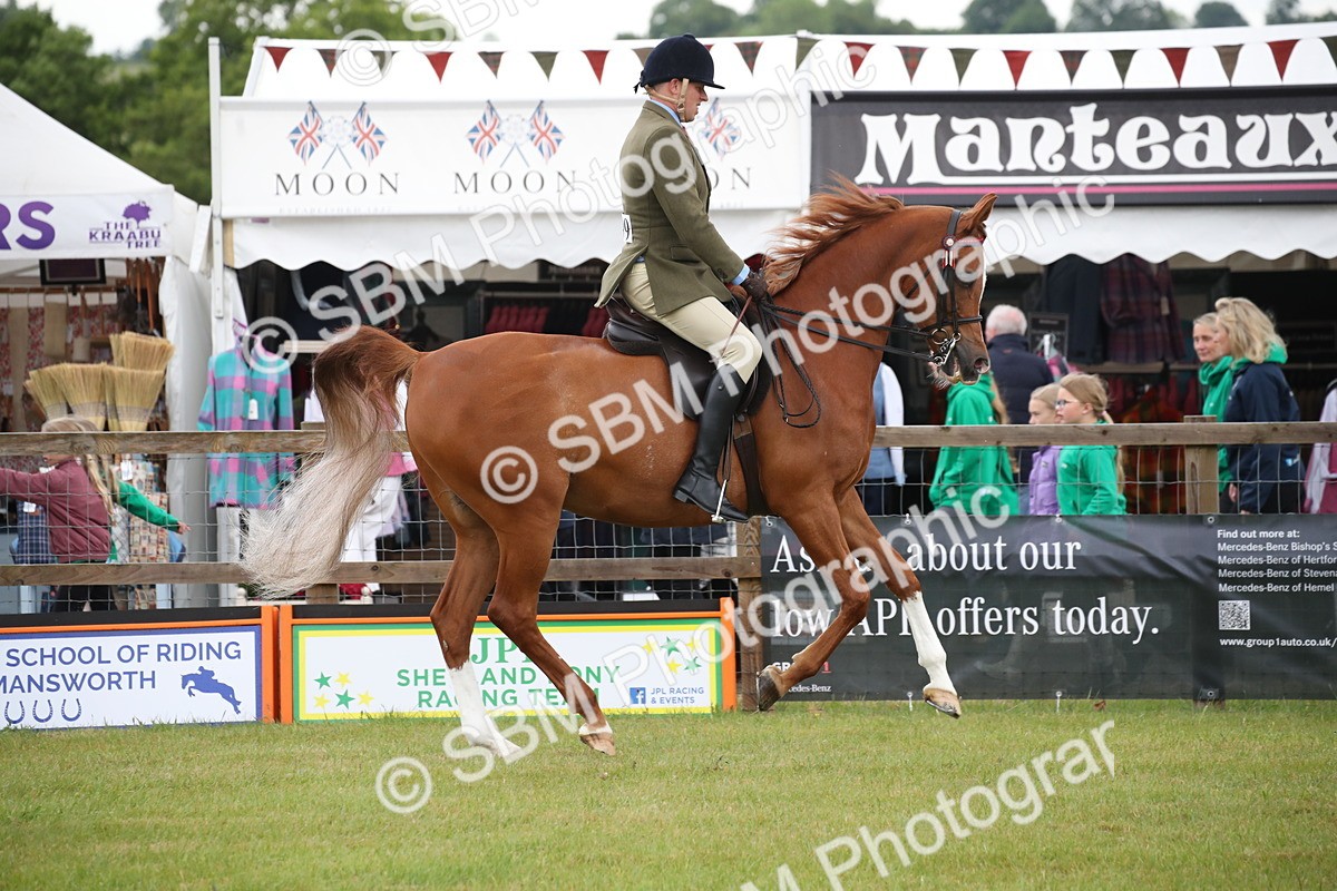 SBM_03610 - Class 21 - 22 - Ridden Arab and Part Bred/Anglo Arab