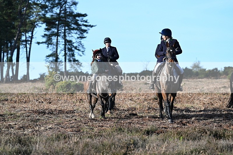 WJ7_7351 - Line 3 (no line 4 or 5)