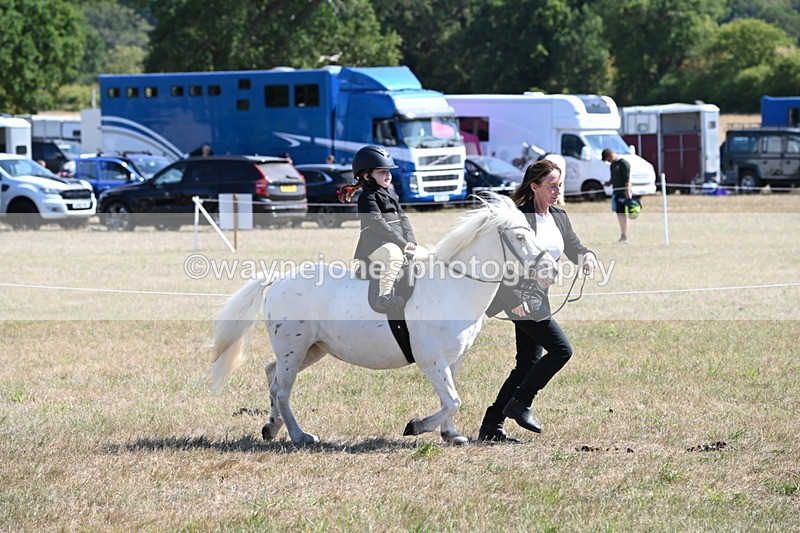 WJ6_7839 - Class 36 Lead Rein
