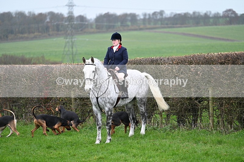 WJ7_8831 - Meet Staff & Hounds