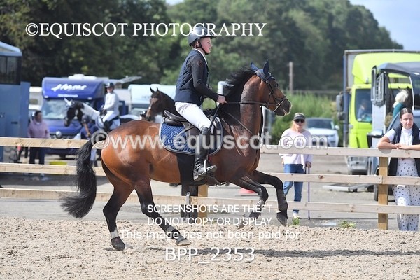 BPP_2353 - DERBY CLASS 7 - 80CM