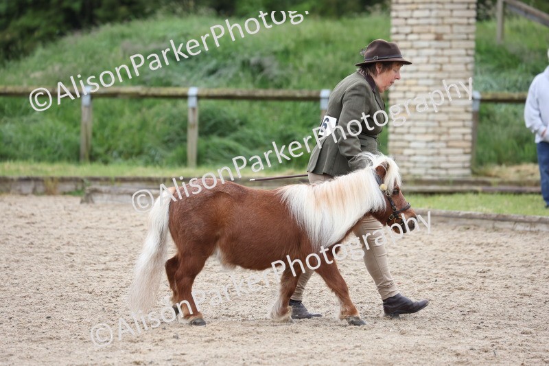 20250524-0010 - Class 1 - Best Condition