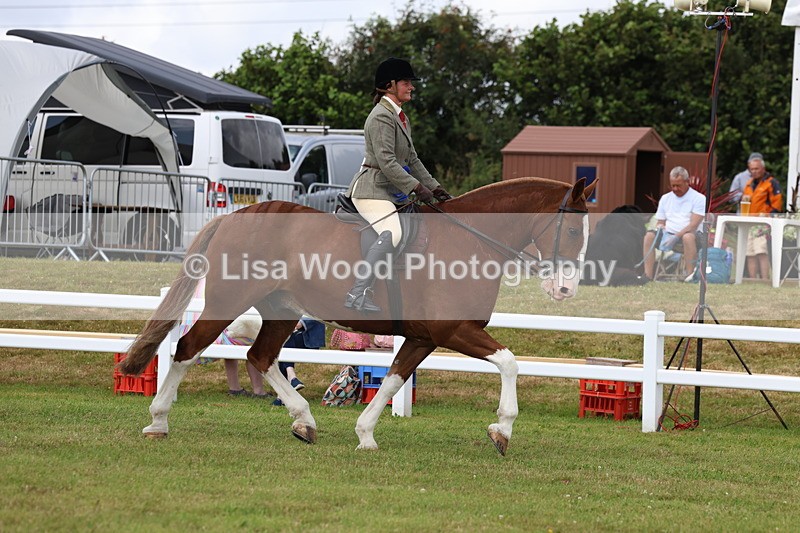 3E7A0468 - Rising Star Ridden Championship