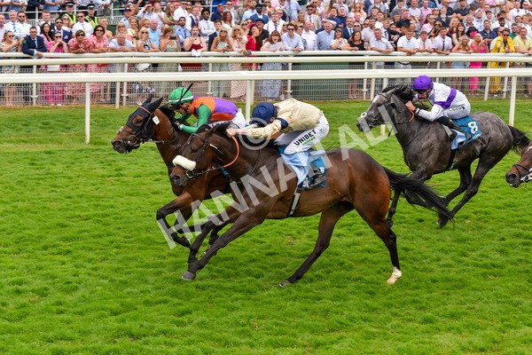 170623-Race 4-Quinault-7099 - Race 4 3.40pm Oakmere Homes Supporting Macmillan Sprint Handicap