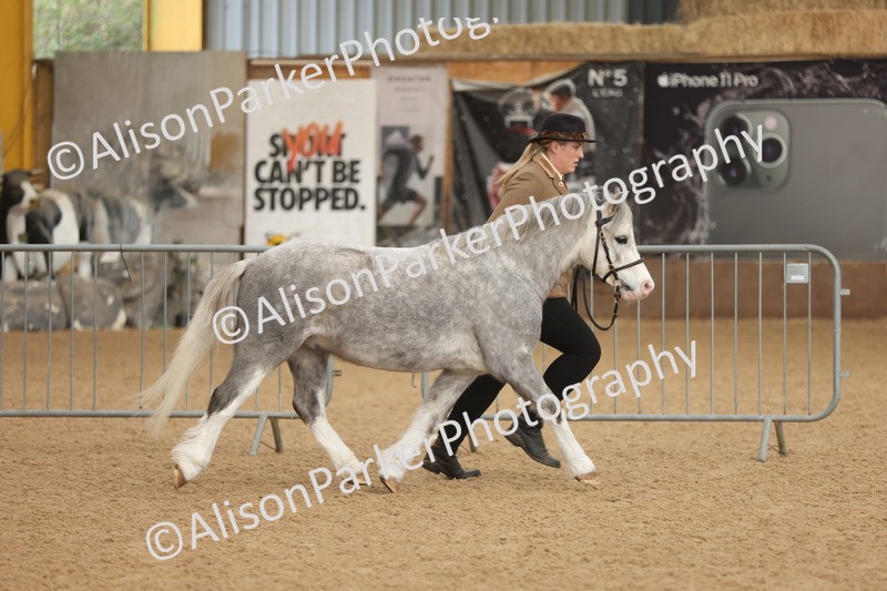 20251109-0603 - Class 22 - Geldings 4 Years and over