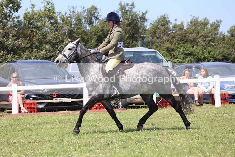 JPP_2476 - Class 21: Working Hunter 60cm
