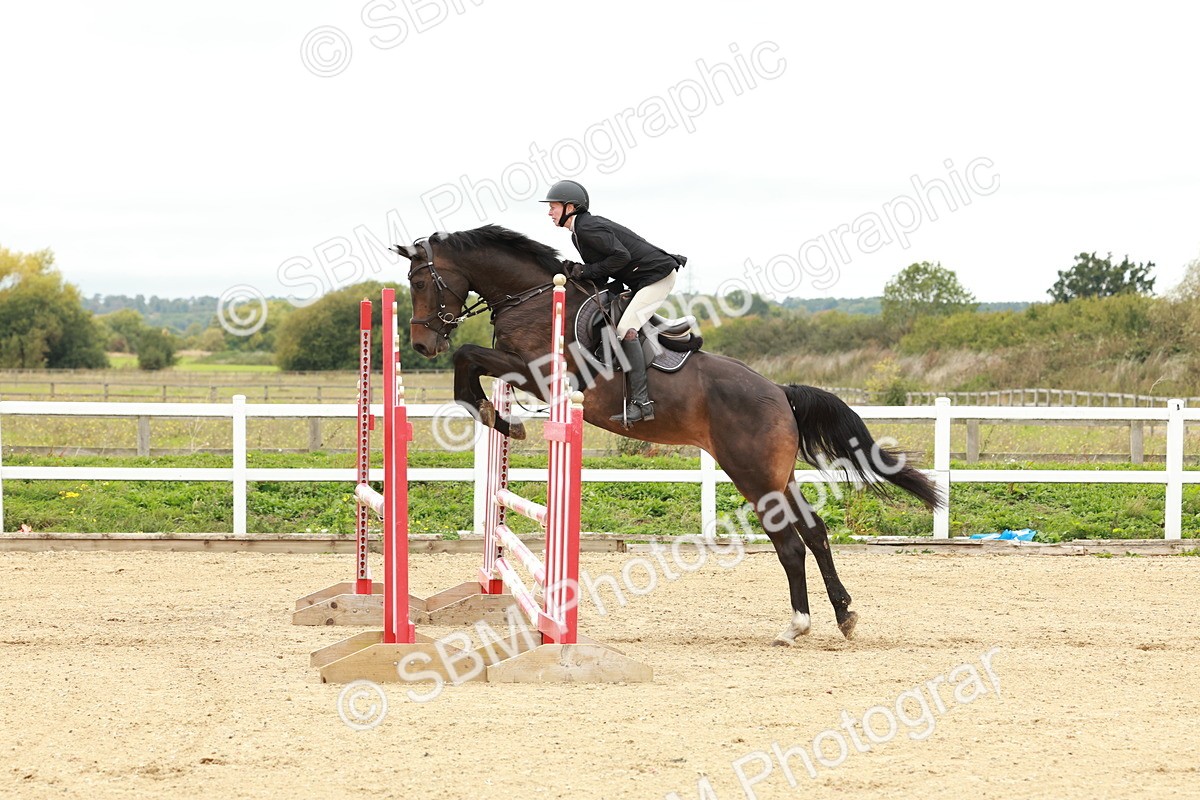 1I0A6918 - Class 2 - Senior British Novice