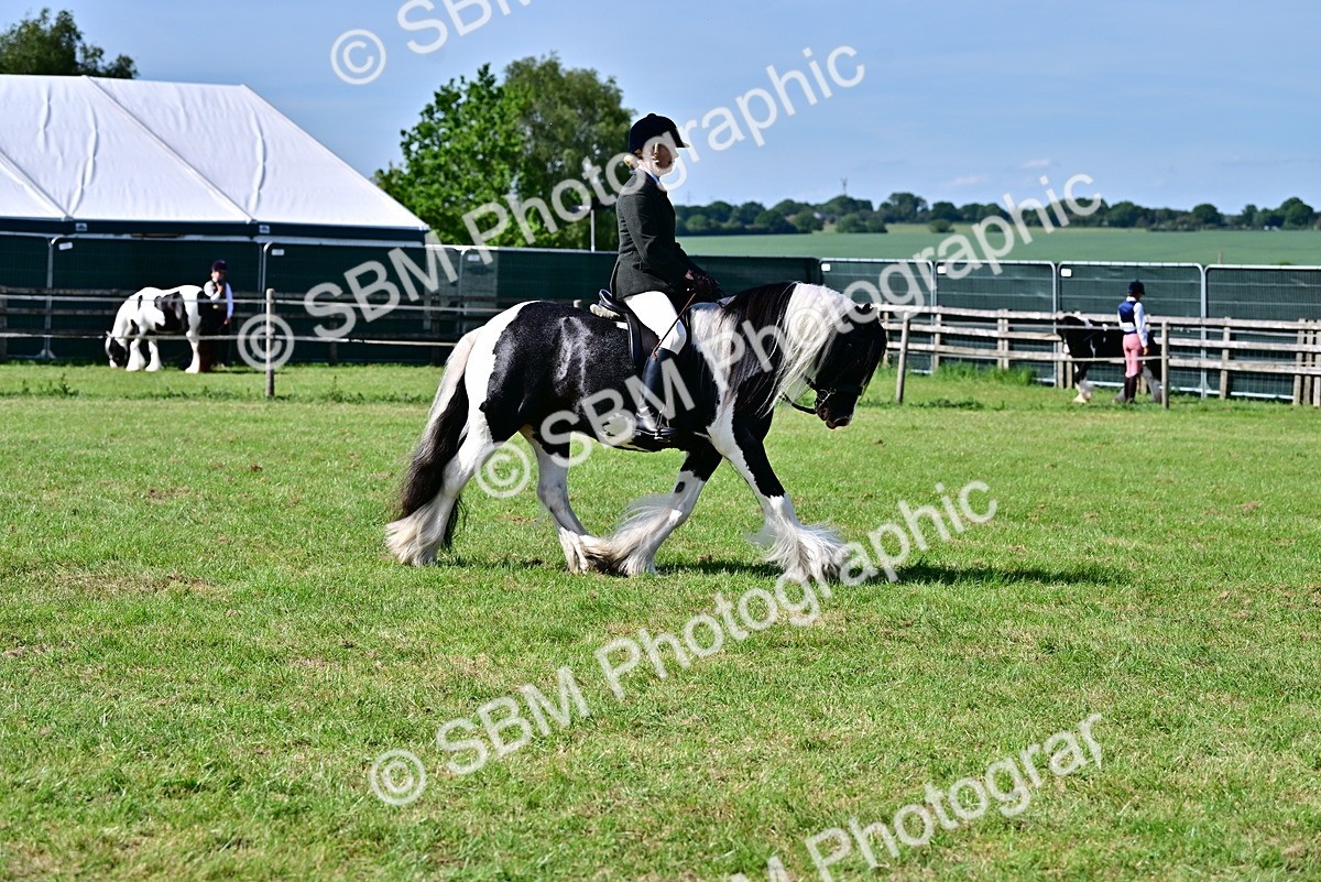 SBM_09351 - Class 63-65 - Traditional Gypsy Cobs In Hand & Ridden
