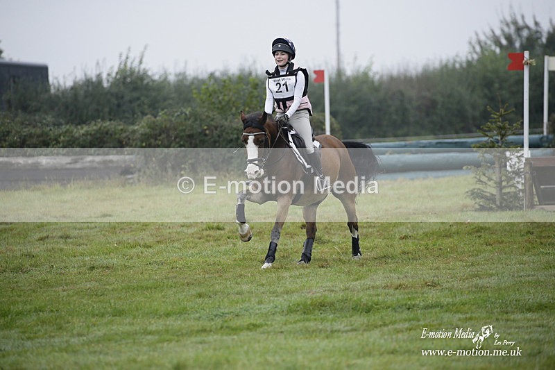 WWHT 171021 0156 - Novice Restricted (0.80m)  17/10/21
