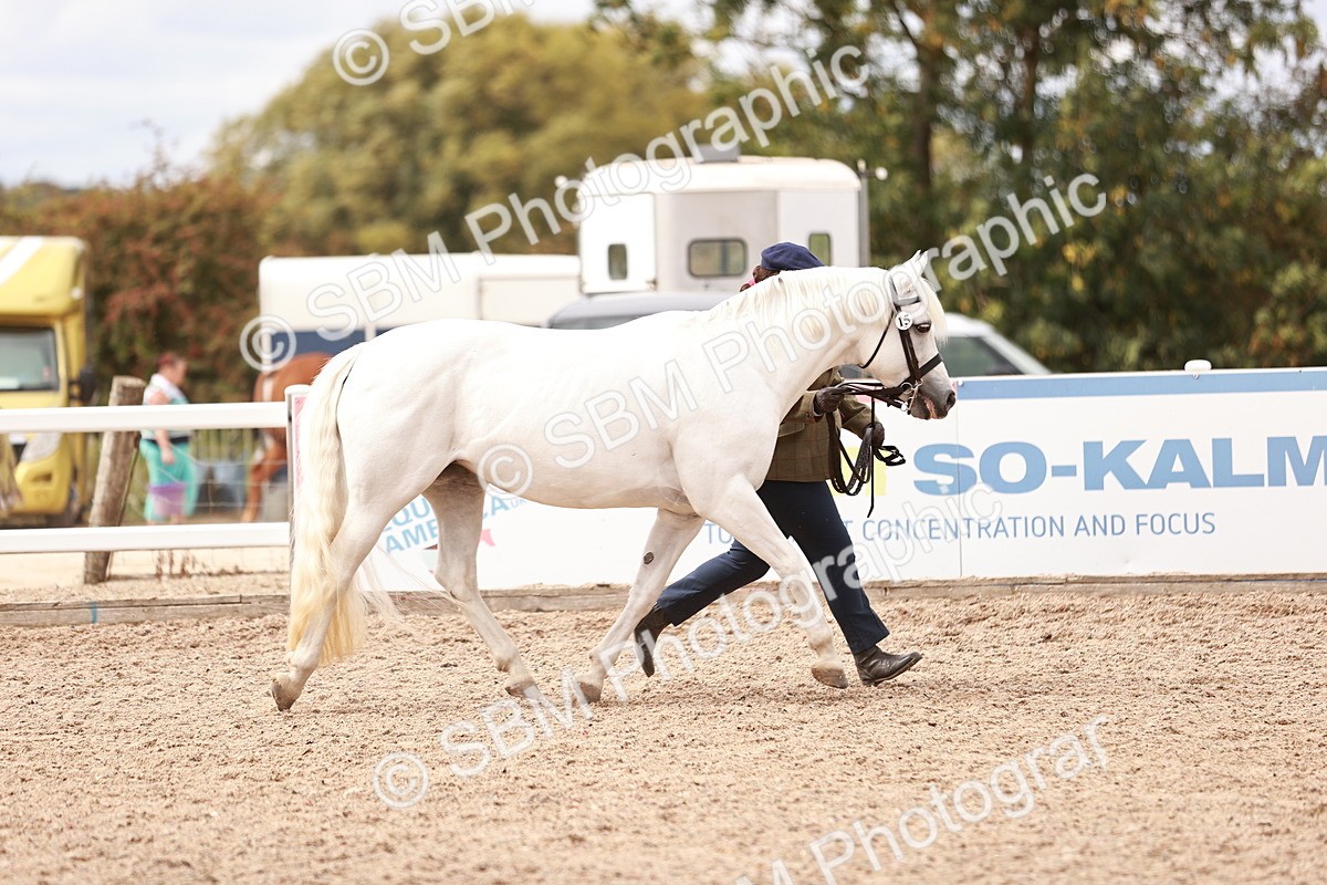 SBM_16300 - Class 413 - Best Condition - Adult