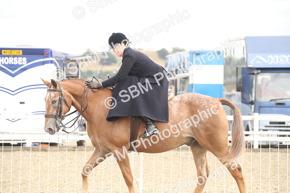 SBM_17664 - Class 508a - Working Veteran 70cm (15-19)