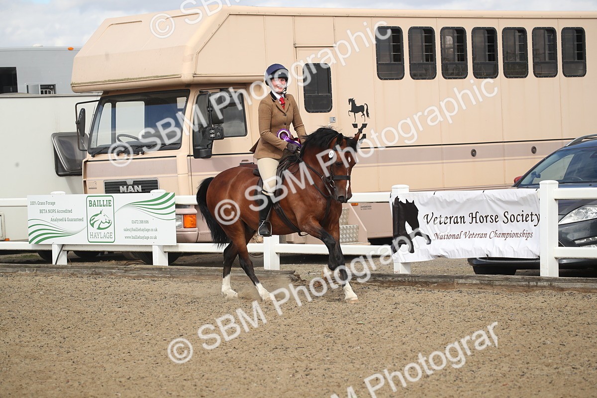 SBM_14622 - Class 505a - M&M Working Veteran - 50cm (15-19)